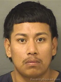 Mugshot of DENIS ADALBERTO PEREZGONZALEZ booked in Palm Beach County, Florida on March 11, 2026