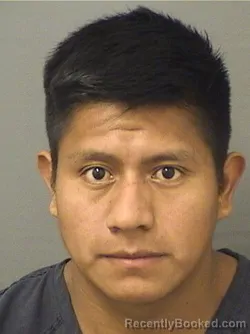 Mugshot of WILSON EVARSITO CINTOBAMACA booked in Palm Beach County, Florida on March 12, 2026