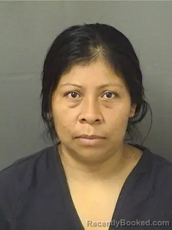 Mugshot of TELMA ALVAREZ booked in Palm Beach County, Florida on March 12, 2026