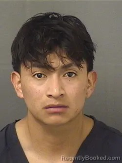 Mugshot of GABINO M DOMINGOMANUEL booked in Palm Beach County, Florida on March 12, 2026