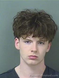 Mugshot of GANNON REID MCLAUGHLIN booked in Palm Beach County, Florida on March 12, 2026