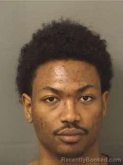 Mugshot of NOAH WILLIAMMCKENZIE booked in Palm Beach County, Florida on March 12, 2026