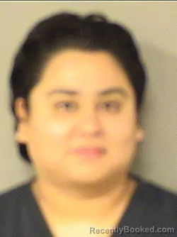 Mugshot of ELIDA BUSTOS booked in Palm Beach County, Florida on March 13, 2026