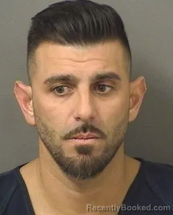 Mugshot of DANIEL LOUISA booked in Palm Beach County, Florida on March 13, 2026