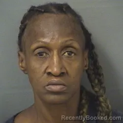Mugshot of LINDA A FORD booked in Palm Beach County, Florida on March 13, 2026
