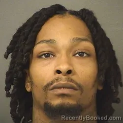 Mugshot of TAVARIUS J WILSON booked in Palm Beach County, Florida on March 13, 2026