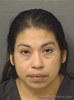 Mugshot of MAURICIA HERNANDEZHERNANDEZ booked in Palm Beach County, Florida on March 13, 2026