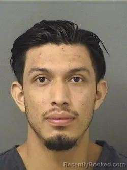 Mugshot of LUIS J CASTROVARON booked in Palm Beach County, Florida on March 13, 2026