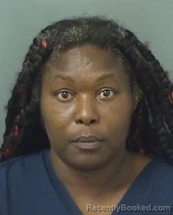 Mugshot of FATU A VILLE booked in Palm Beach County, Florida on March 14, 2026