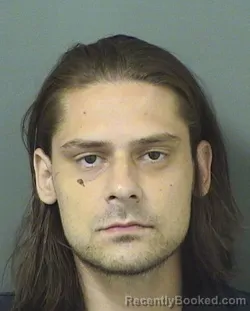 Mugshot of IVAN VIDIC booked in Palm Beach County, Florida on March 14, 2026