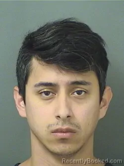 Mugshot of JOEL VEGA booked in Palm Beach County, Florida on March 14, 2026