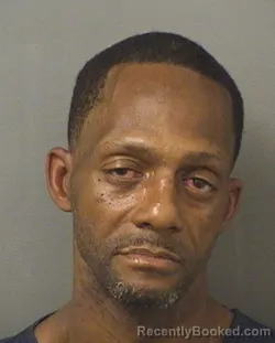 Mugshot of SHANNON RESHINE JACKSON booked in Palm Beach County, Florida on March 15, 2026