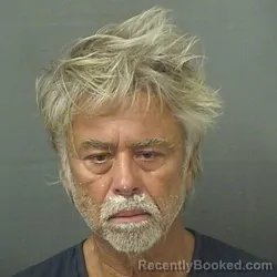 Mugshot of MICHAEL MOLDOVAN booked in Palm Beach County, Florida on March 15, 2026