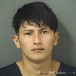 Mugshot of HENRY JAFETH MADRIDAMAYA booked in Palm Beach County, Florida on March 15, 2026