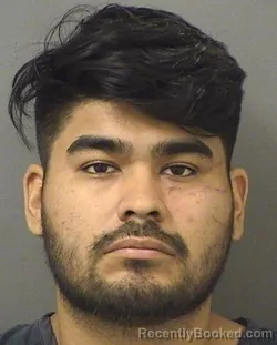 Mugshot of ALEXZANDER MARTINEZ booked in Palm Beach County, Florida on March 15, 2026