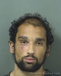 Mugshot of DANIEL RIVERAFERMIN booked in Palm Beach County, Florida on March 16, 2026