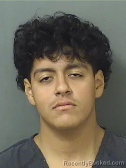 Mugshot of JOSE CARLOS ORTIZLOPEZ booked in Palm Beach County, Florida on March 16, 2026