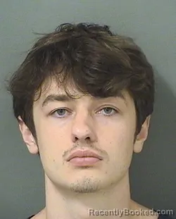 Mugshot of DYLAN JAMES JERSEY