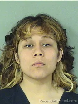 Mugshot of ASHLEY SALMERONARIAS