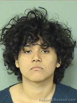 Mugshot of ISMAEL LOPEZ