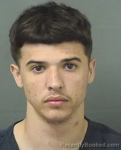 Mugshot of JETTY BATISTA booked in Palm Beach County, Florida on March 17, 2026