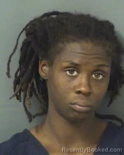 Mugshot of HAZEL BROWN HUMPHRIES booked in Palm Beach County, Florida on March 17, 2026