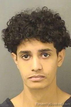 Mugshot of PEDRO HENRIQUE DAMAOLIVEIRA booked in Palm Beach County, Florida on March 17, 2026