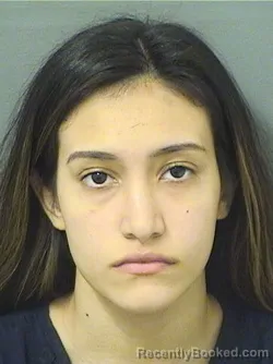 Mugshot of GISSELL E SANTOS