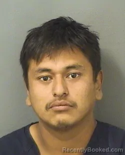 Mugshot of GUSTAVO A HERNANDEZZEPEDA booked in Palm Beach County, Florida on March 17, 2026