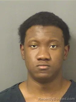 Mugshot of PETRUS LOUIS III MAXI booked in Palm Beach County, Florida on March 18, 2026