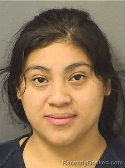 Mugshot of ROMELIA MARIA MIGUEL booked in Palm Beach County, Florida on March 18, 2026