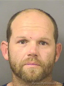 Mugshot of WILSON MCKINNEY TOWNSEND booked in Palm Beach County, Florida on March 18, 2026