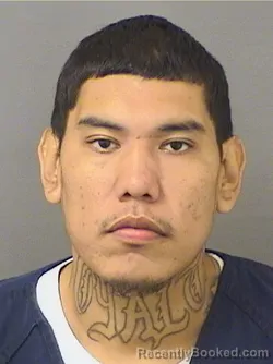 Mugshot of EDWARD PERKINS booked in Palm Beach County, Florida on March 19, 2026