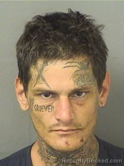 Mugshot of DILLON RAY KATZ booked in Palm Beach County, Florida on March 19, 2026