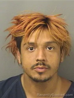 Mugshot of DAVID REYNA booked in Palm Beach County, Florida on March 19, 2026