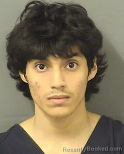 Mugshot of ANDERSON GABRIEL BANEGASRAMOS booked in Palm Beach County, Florida on March 21, 2026