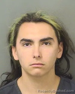 Mugshot of ALEX MORALES booked in Palm Beach County, Florida on March 22, 2026