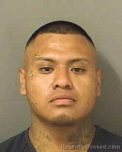 Mugshot of PEDRO GASPAR booked in Palm Beach County, Florida on March 22, 2026