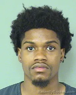 Mugshot of ANTHONY ISAIAH LEUNG booked in Palm Beach County, Florida on March 22, 2026