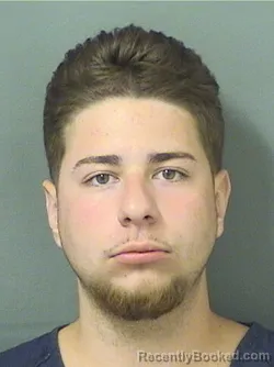 Mugshot of ALBERT SANTANA booked in Palm Beach County, Florida on March 22, 2026