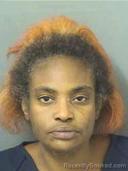 Mugshot of COMMILLA NATASHA PRYCE booked in Palm Beach County, Florida on March 23, 2026