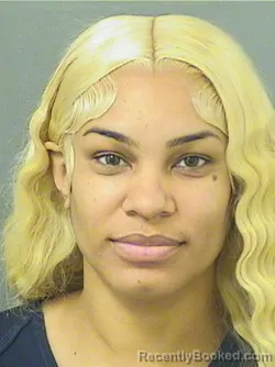 Mugshot of SHANNON LEE WOODS booked in Palm Beach County, Florida on March 23, 2026