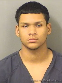 Mugshot of JAYDEN PEREZ booked in Palm Beach County, Florida on March 24, 2026