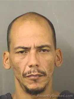 Mugshot of KELVIN RADAMES CARREROSAGARDIA booked in Palm Beach County, Florida on March 24, 2026