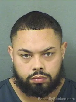 Mugshot of DAVID ALDEMAR CORTES booked in Palm Beach County, Florida on March 24, 2026