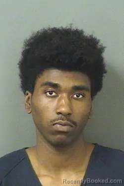 Mugshot of IRA ANTON THELUSNORD booked in Palm Beach County, Florida on March 24, 2026