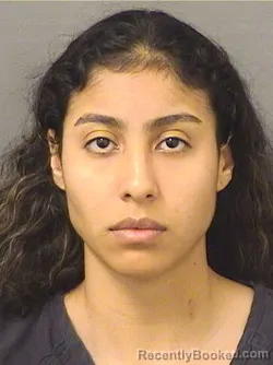 Mugshot of ALLISON DAVALOSVASQUEZ booked in Palm Beach County, Florida on March 25, 2026