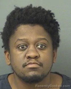 Mugshot of RICKY LEMOND PETTY booked in Palm Beach County, Florida on March 25, 2026