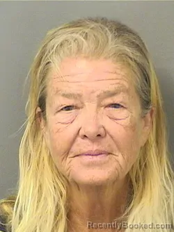 Booking photo from Palm Beach County, Florida