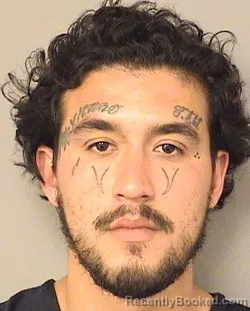 Mugshot of GENRI MACEDO booked in Palm Beach County, Florida on March 26, 2026